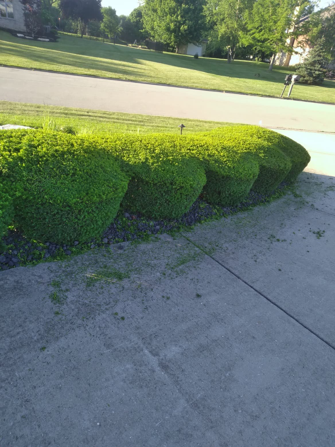 Descripción descriptiva de la imagen